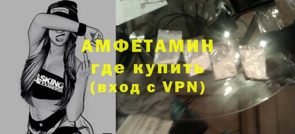 индика Алзамай