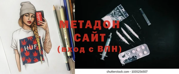 индика Алзамай