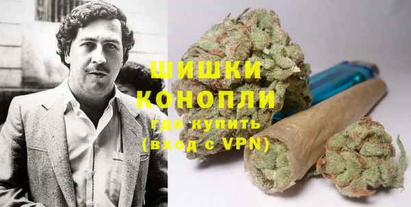 spice Алексин