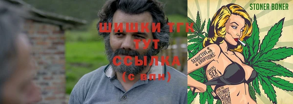spice Алексин