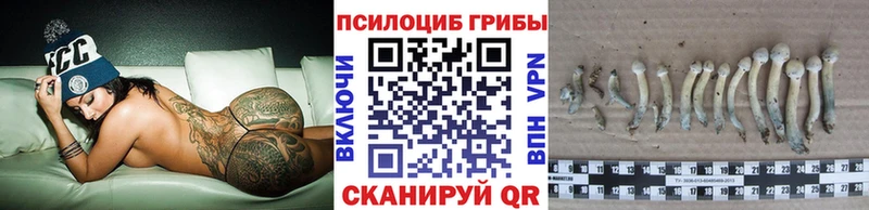 как найти закладки  blacksprut рабочий сайт  Галлюциногенные грибы MAGIC MUSHROOMS  Аргун 